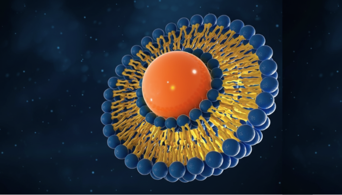 Liposomal Supplements: The New Generation of Medicine